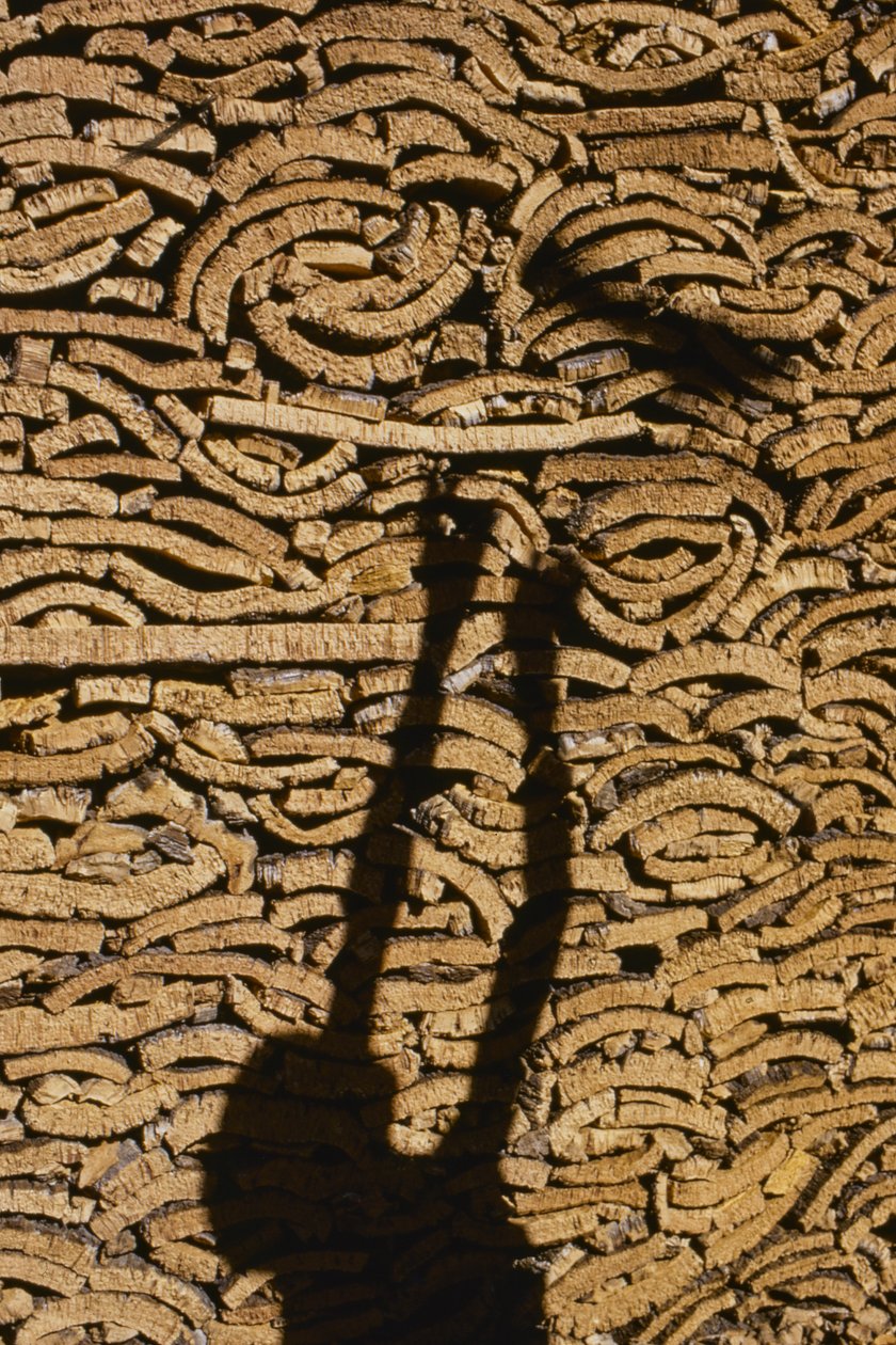 Shadow of man stacking cork for export from Morocco by Thomas J. Abercrombie