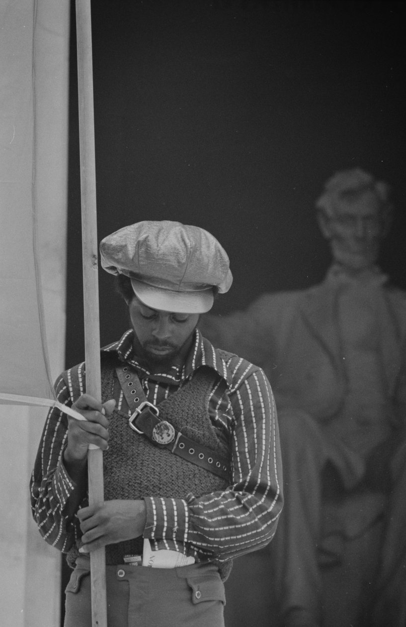 Black Panther Convention, Lincoln Memorial by Thomas J. O