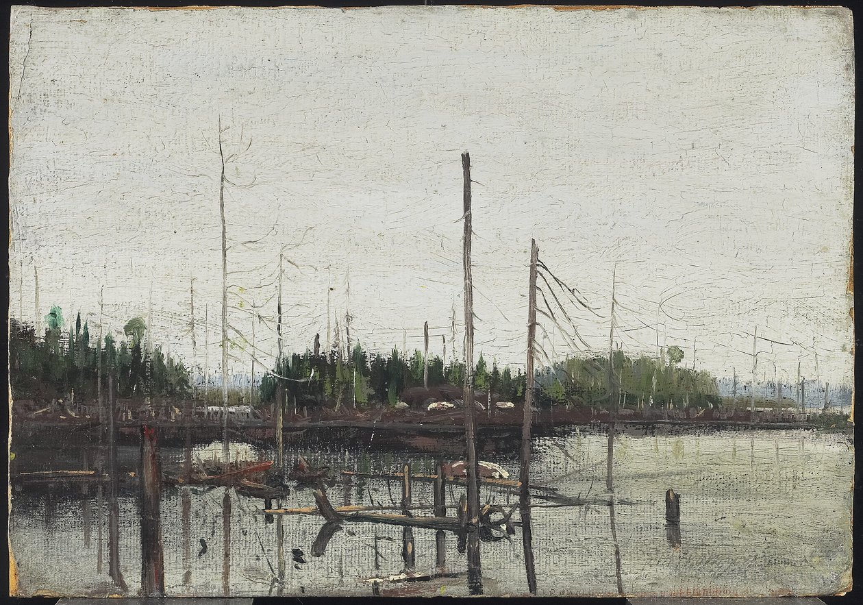 Drowned Land by Tom Thomson