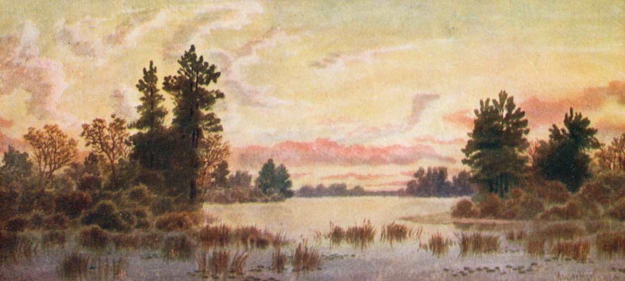 Sunset on Canoe Lake, Parry Sound by Thomas Mower Martin