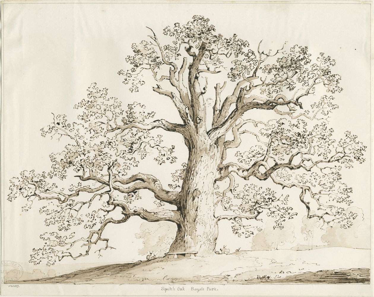 Blithfield - Squitch Oak by Thomas Peploe Wood