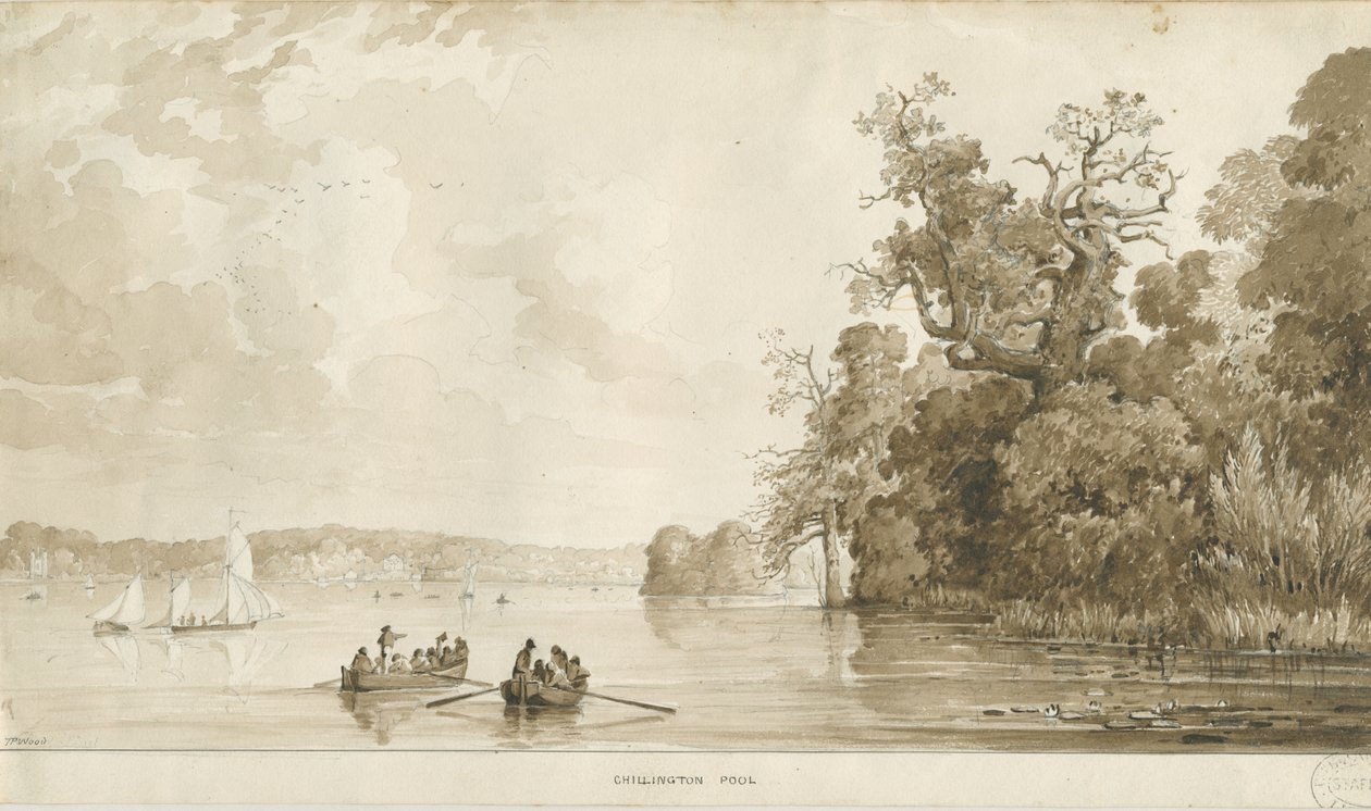 Chillington Park - Pool by Thomas Peploe Wood