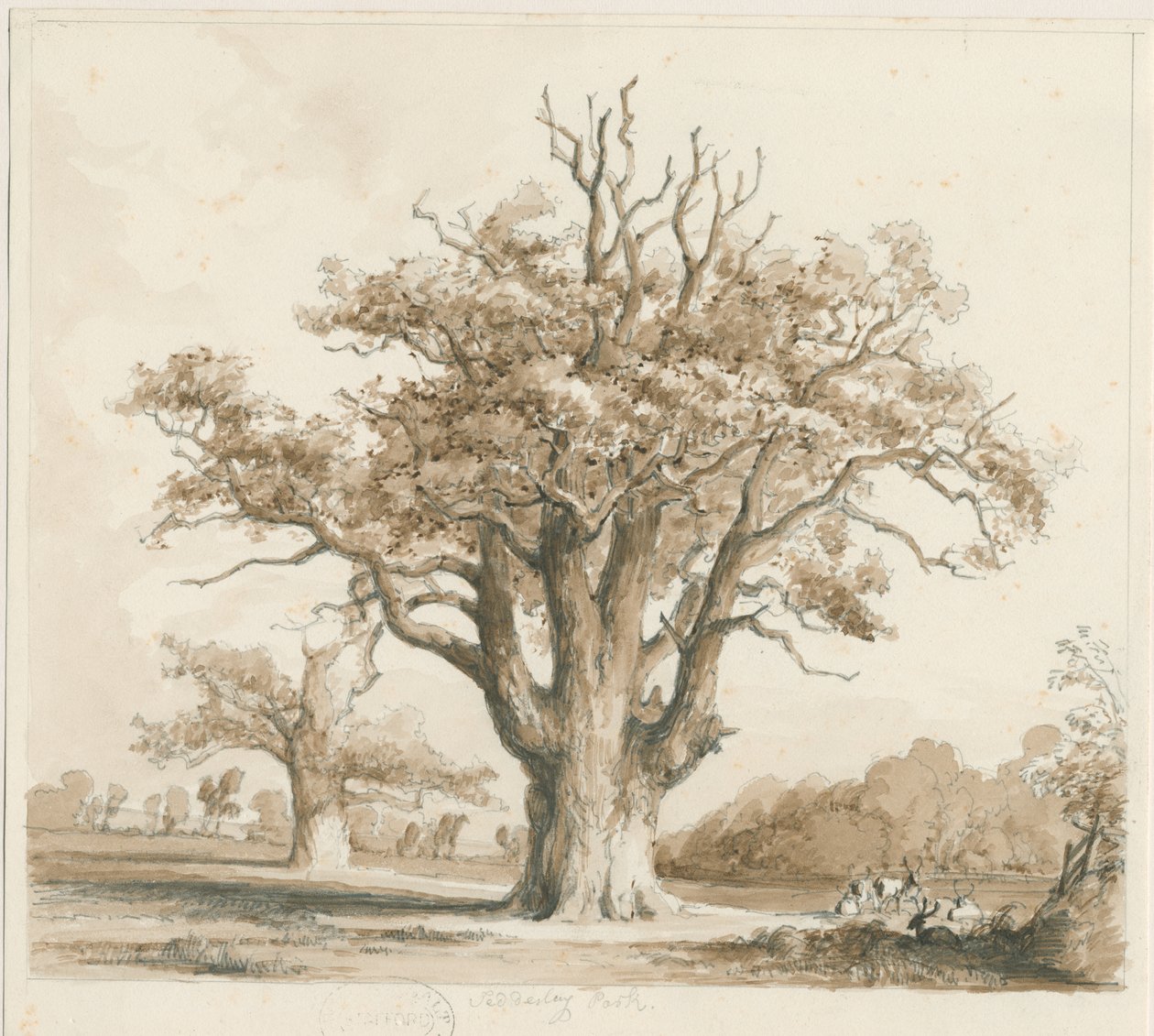 Teddesley Hall - Oak Trees (pencil and wash drawing, Nov 1842) by Thomas Peploe Wood