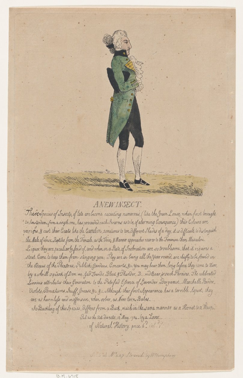 A New Insect by Thomas Rowlandson