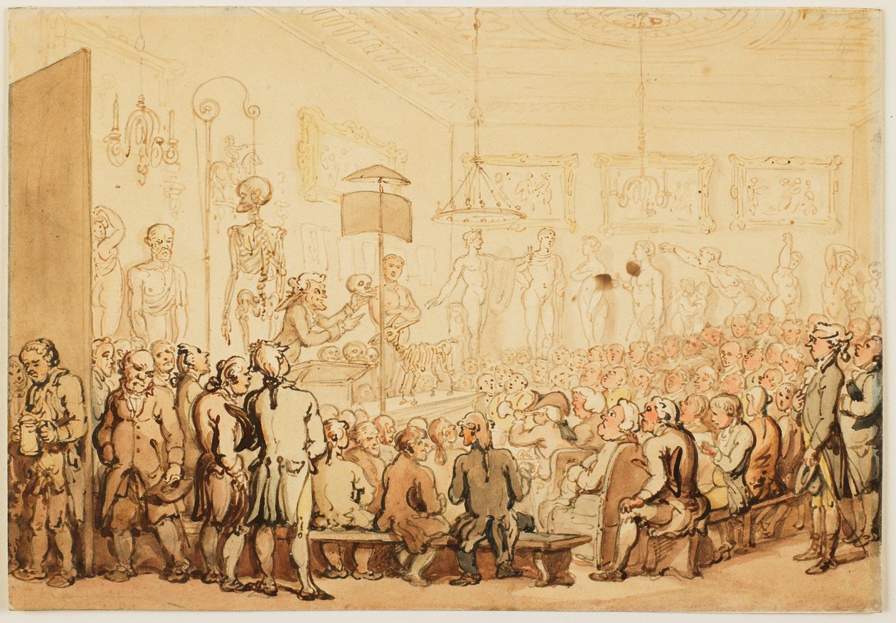 An Anatomical Lecture at Royal Academy of Arts by Thomas Rowlandson