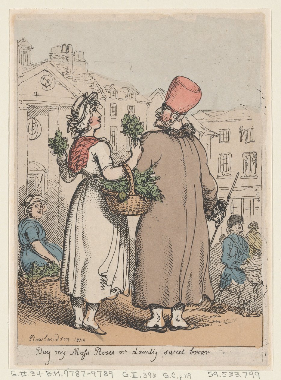 Buy My Moss Roses, or Dainty Sweet briar by Thomas Rowlandson