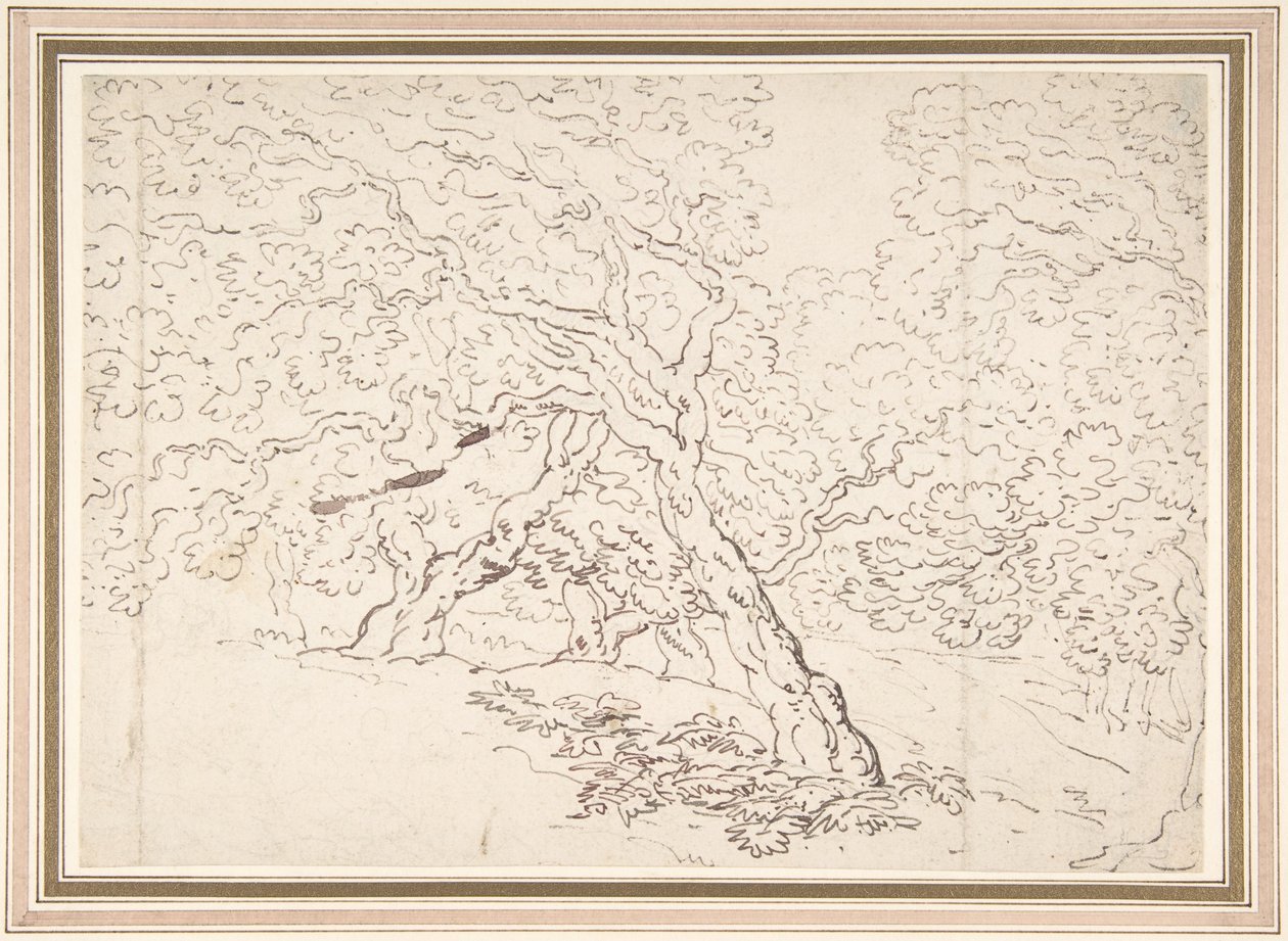 Study of Trees by Thomas Rowlandson