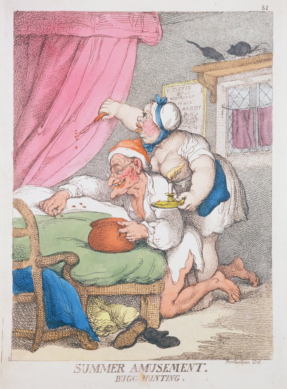 Summer Amusement: Bug Hunting by Thomas Rowlandson
