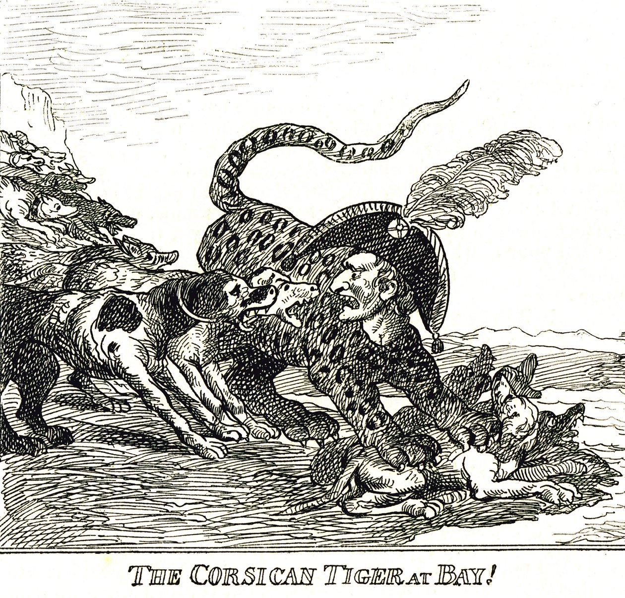 The Barked Corsican Tiger (Napoleon Bonaparte), Caricature 1808 by Thomas Rowlandson