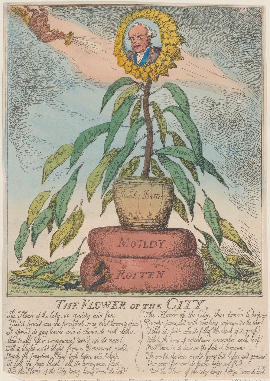The Flower of the City by Thomas Rowlandson