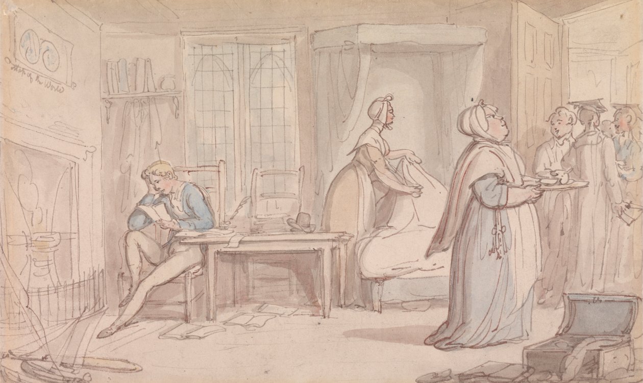 The Undergraduate