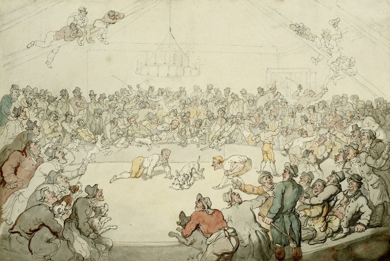 The Westminster Pitt, 1798 by Thomas Rowlandson