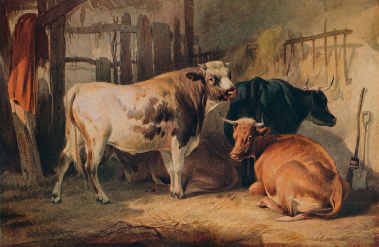 A Bull and Three Cows in a Stable, c. 1856 by Thomas Sidney Cooper