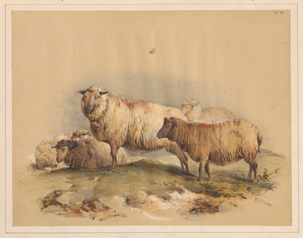 Sheep, No. 18 by Thomas Sidney Cooper
