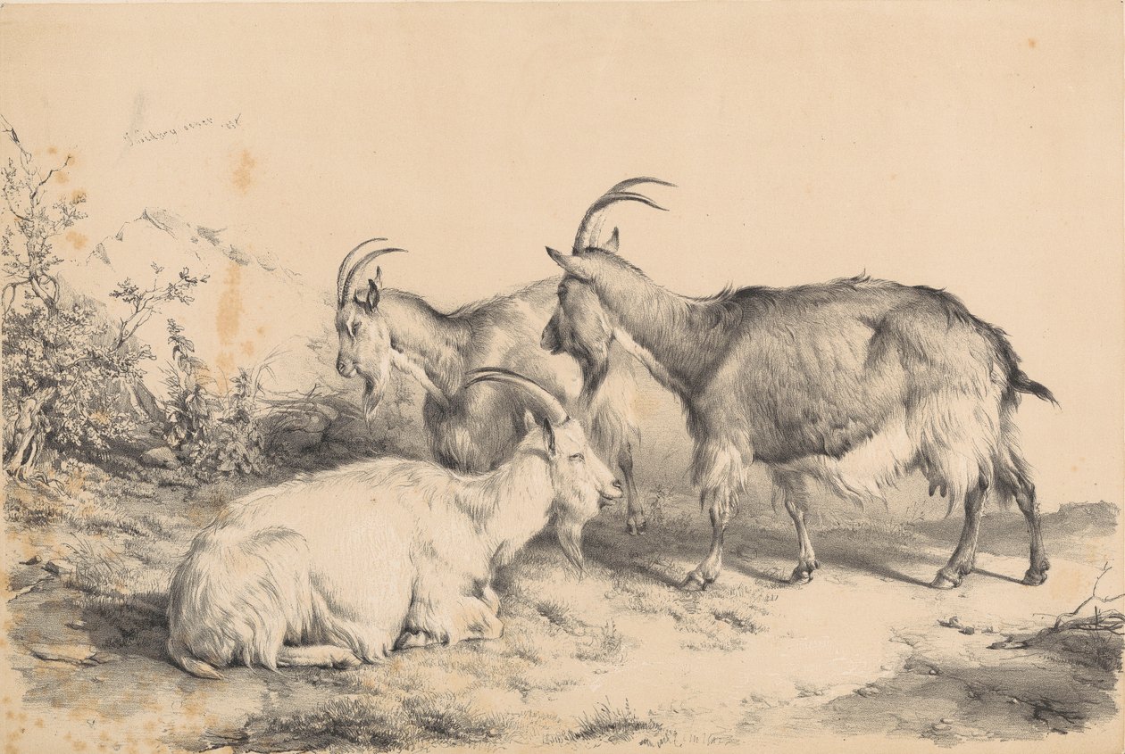 Three Goats by Thomas Sidney Cooper