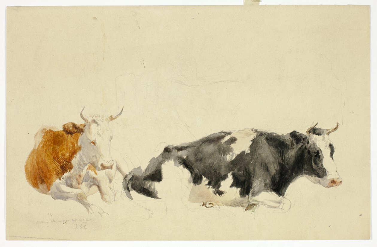 Two Recumbent Cows (recto); Sketch of Standing Cow (verso) by Thomas Sidney Cooper