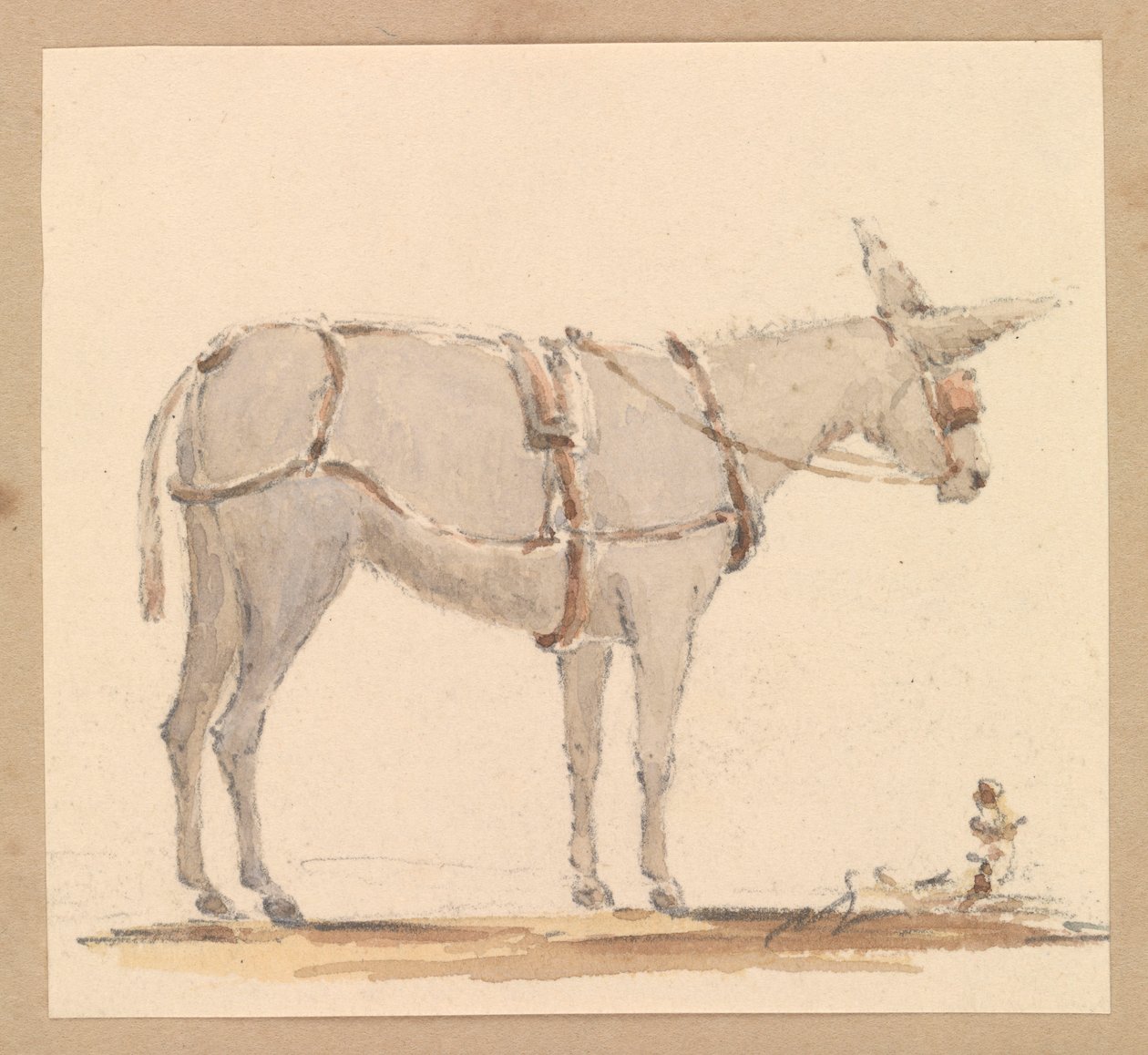 Study of a donkey with a bridle and harness by Thomas Streatfeild