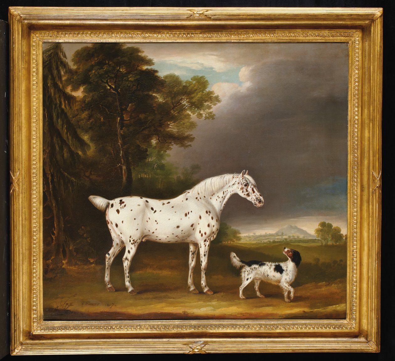 Appaloosa Horse and spaniel, 1807 by Thomas Weaver