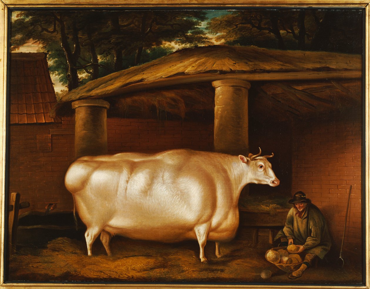 The White Heifer that Travelled, with a man slicing turnips in a stable yard, 1811 by Thomas Weaver