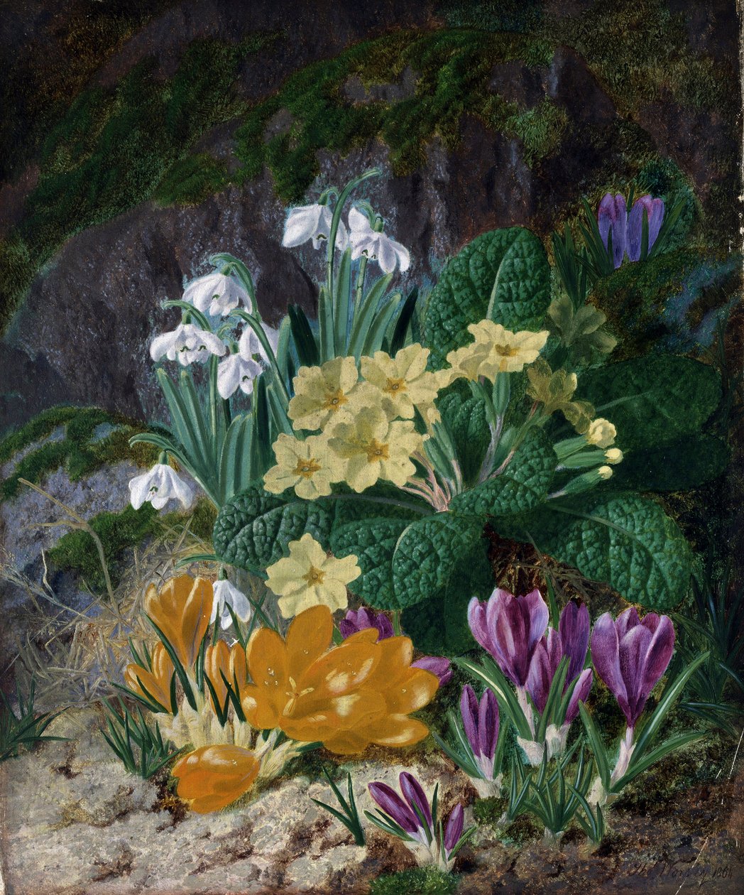 Spring Flowers (including Crocus and Primroses) by Thomas Worsey