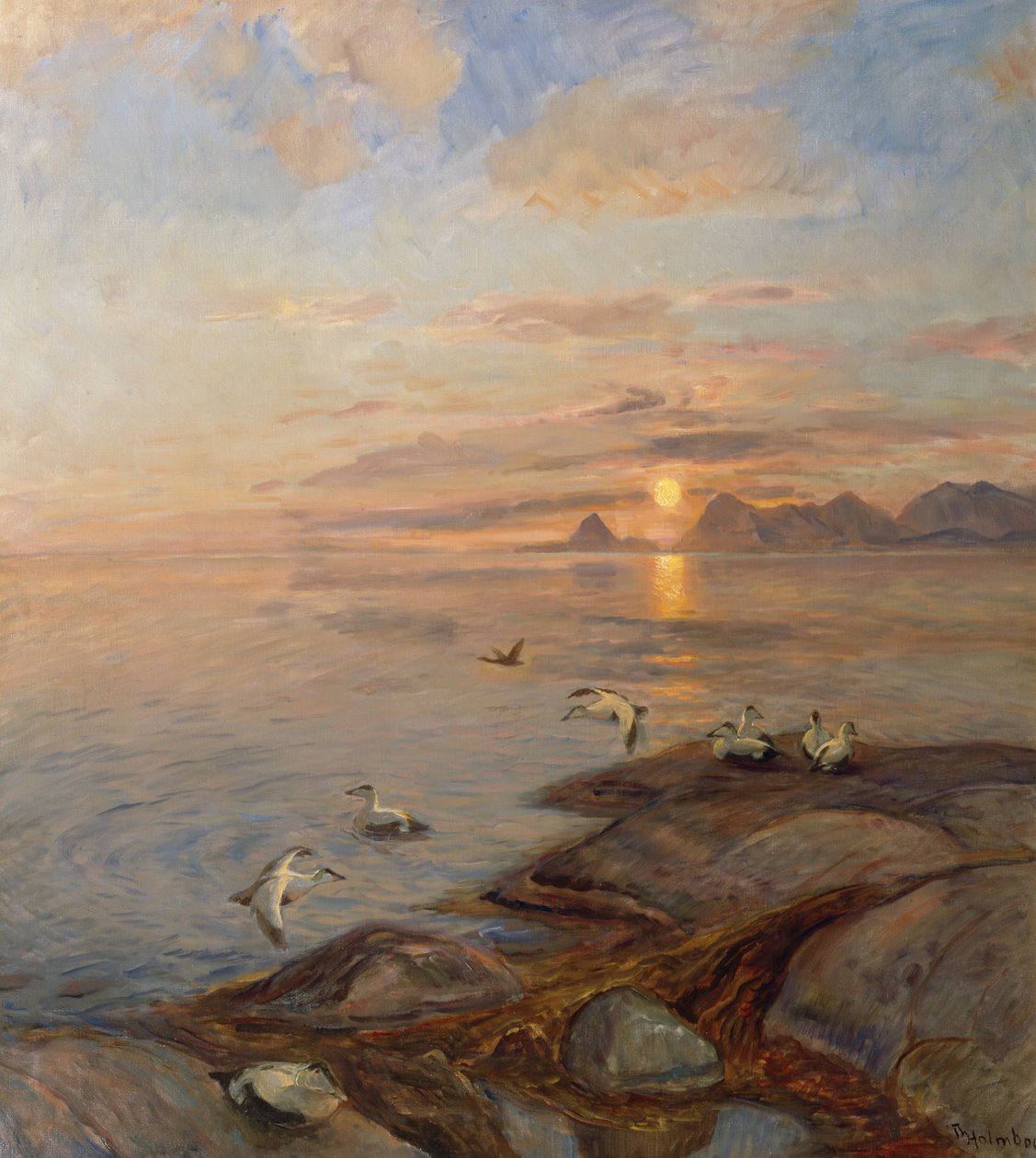 Seabirds in Midnight Sun by Thorolf Holmboe