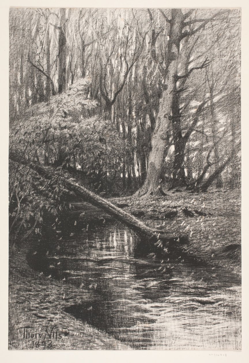 Forest Landscape with a Stream by Thorvald Niss