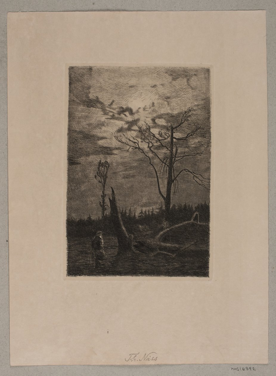 Forest Clearing. Evening by Thorvald Niss