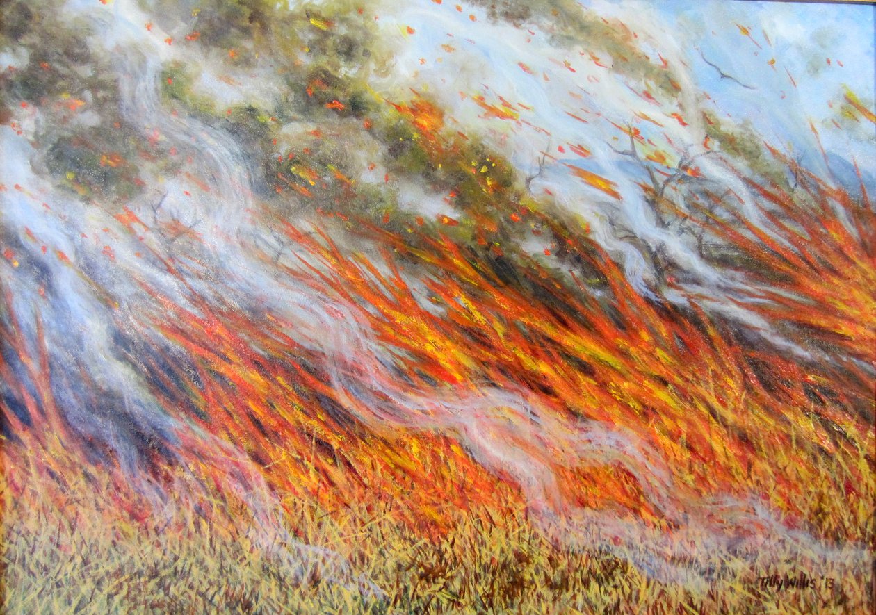 Bushfire Inferno, 2014 by Tilly Willis
