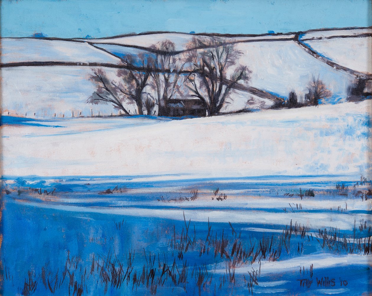 Snow Shadows, 2010 by Tilly Willis