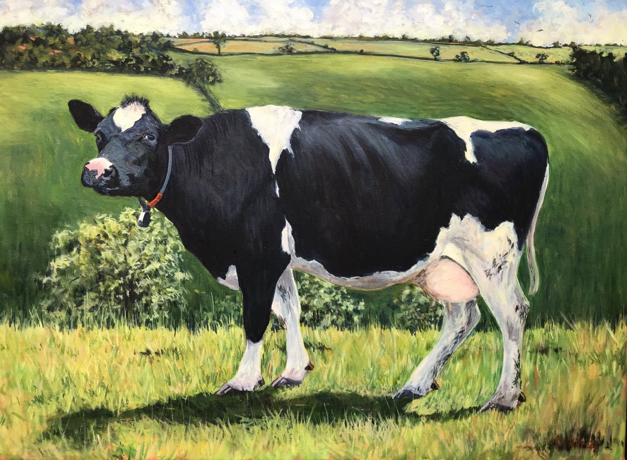 Cow by Tilly Willis