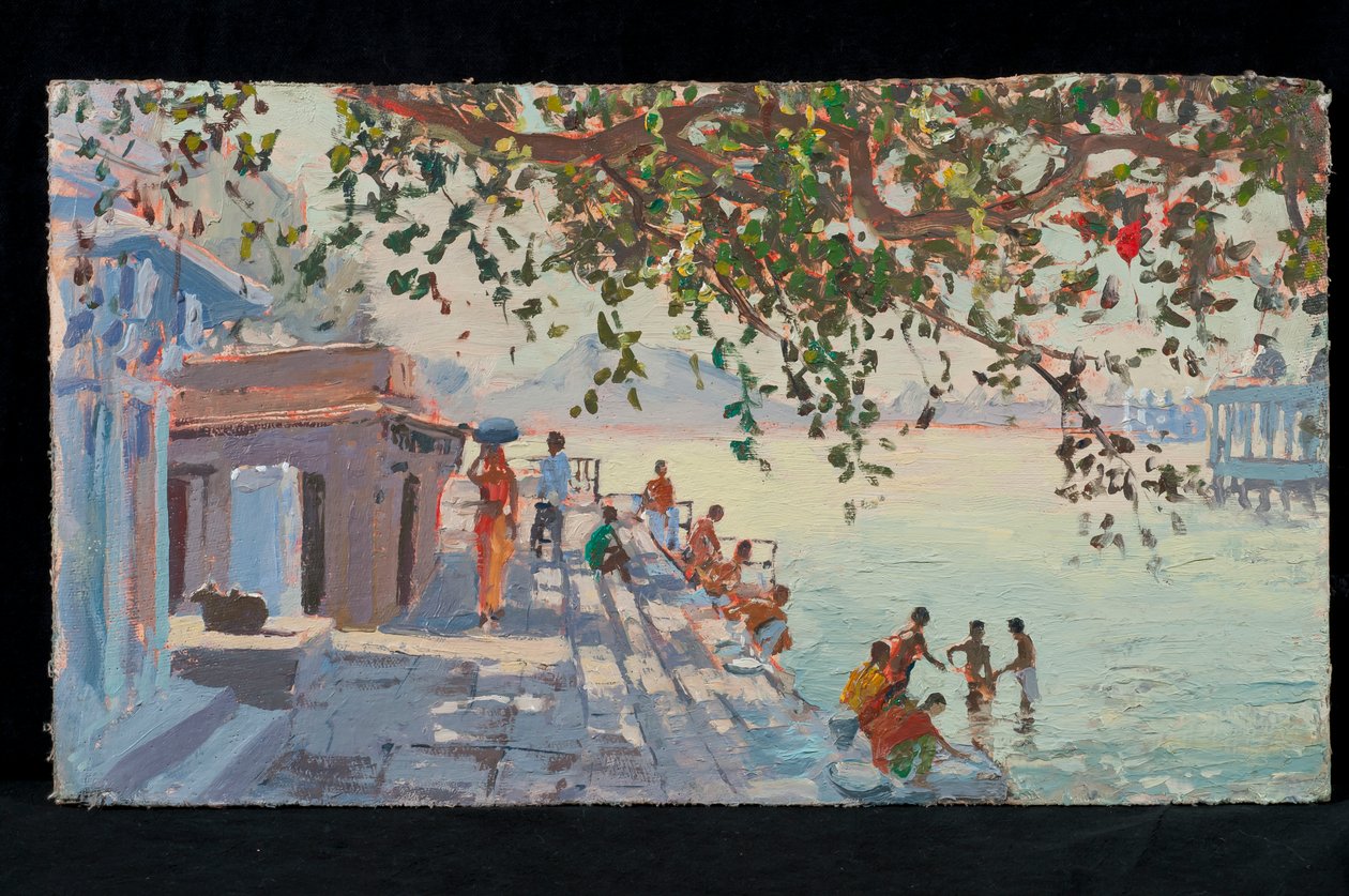Bathers, Udaipur by Tim Scott Bolton