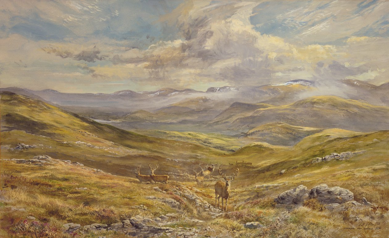 Cairngorms from Kinrara, 1988 by Tim Scott Bolton