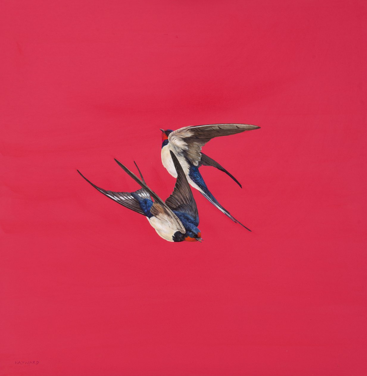 Swirl-Red by Tim Hayward