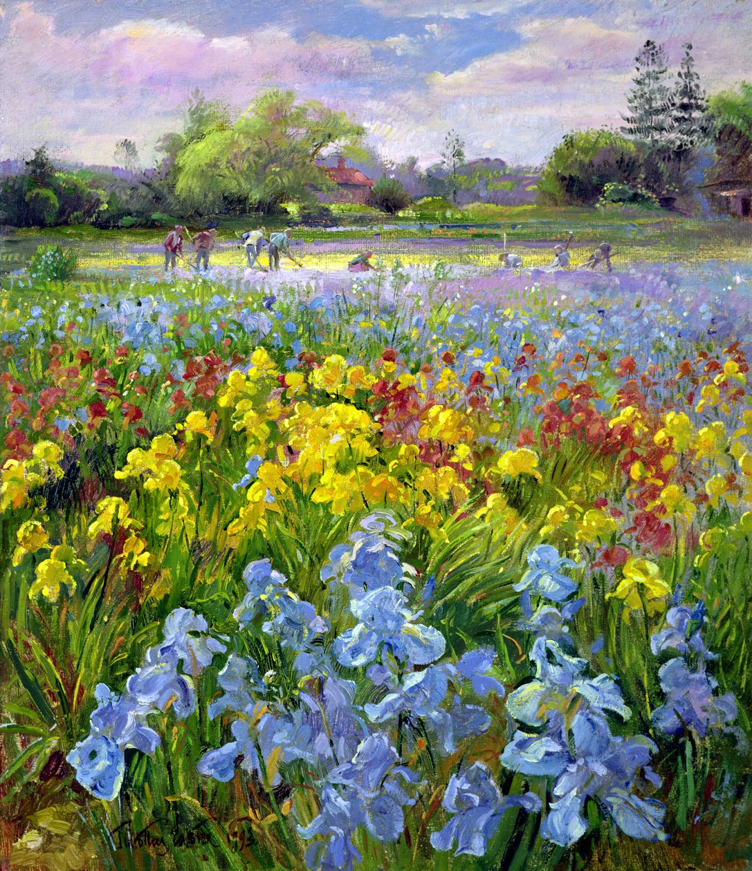 Hoeing Team and Iris Fields by Timothy Easton