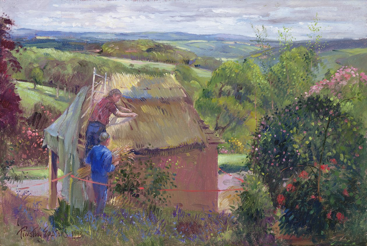 Thatching the Summer House, Lanhydrock House, Cornwall by Timothy Easton