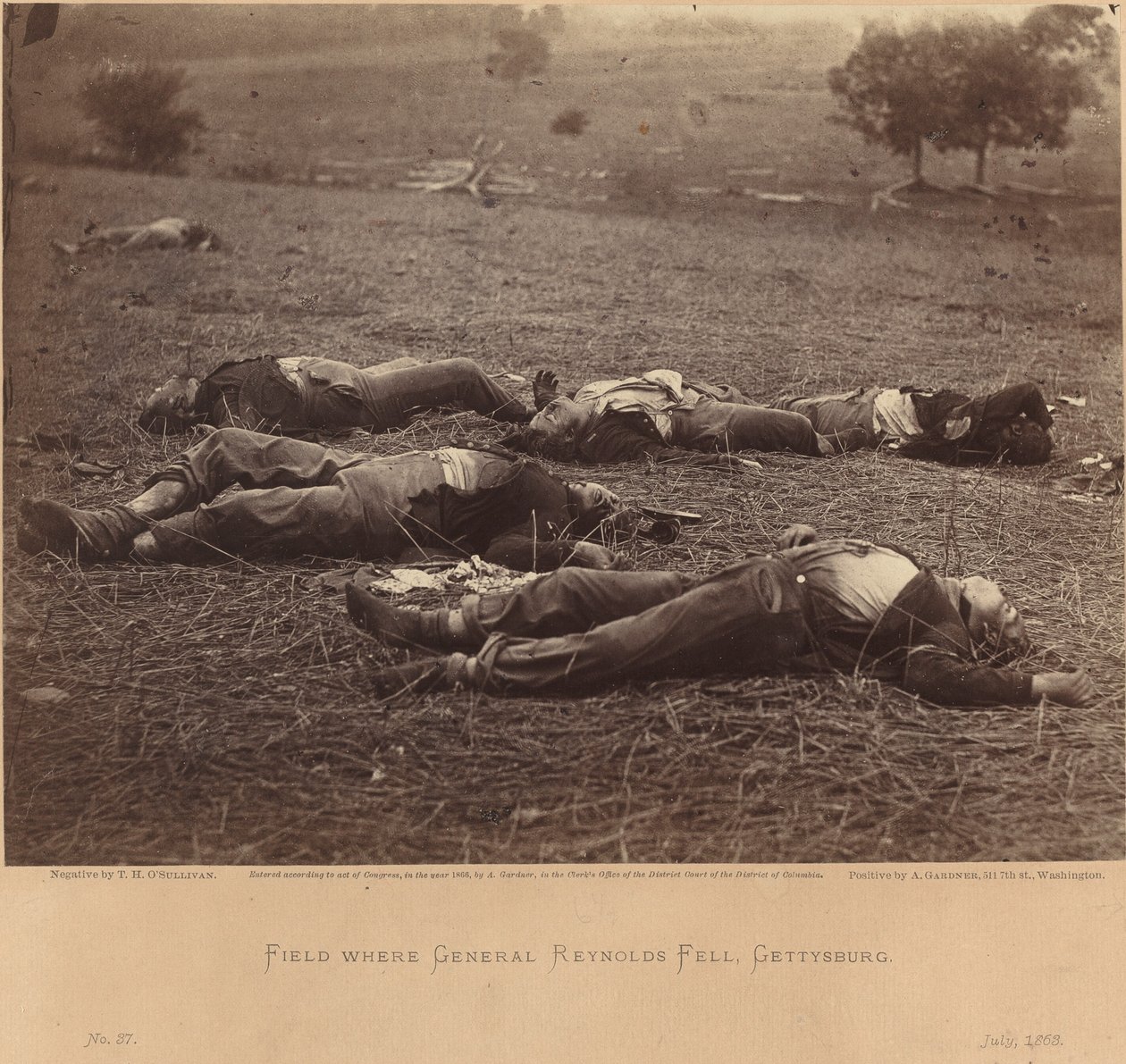 Field Where General Reynolds Fell, Gettysburg, July 5, 1863 by Timothy H. O