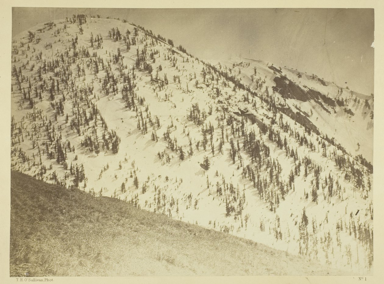 Snow Peaks, Bull Run Mining District, Nevada by Timothy O