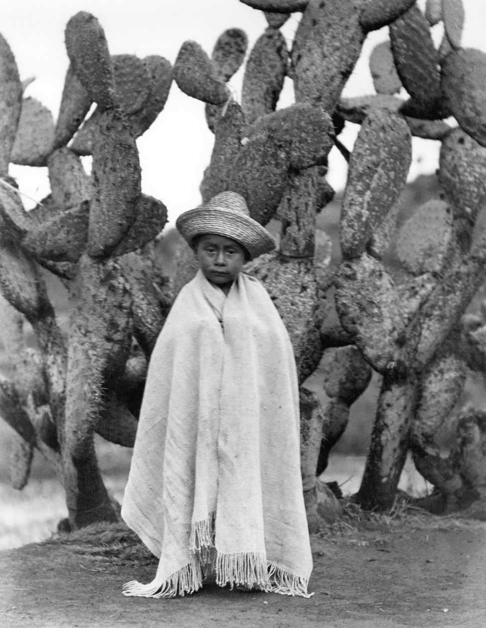 Boy in Front of a Cactus, State of Veracruz, Mexico, 1927 by Tina Modotti