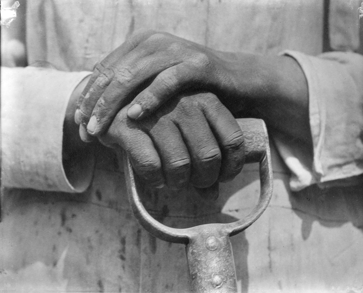 Hands of a Construction Worker, Mexico by Tina Modotti