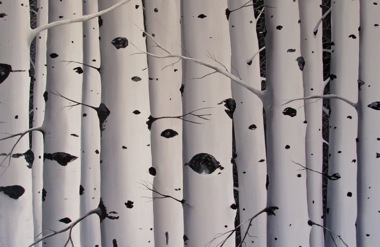 Birch Trees by Tina Palmer