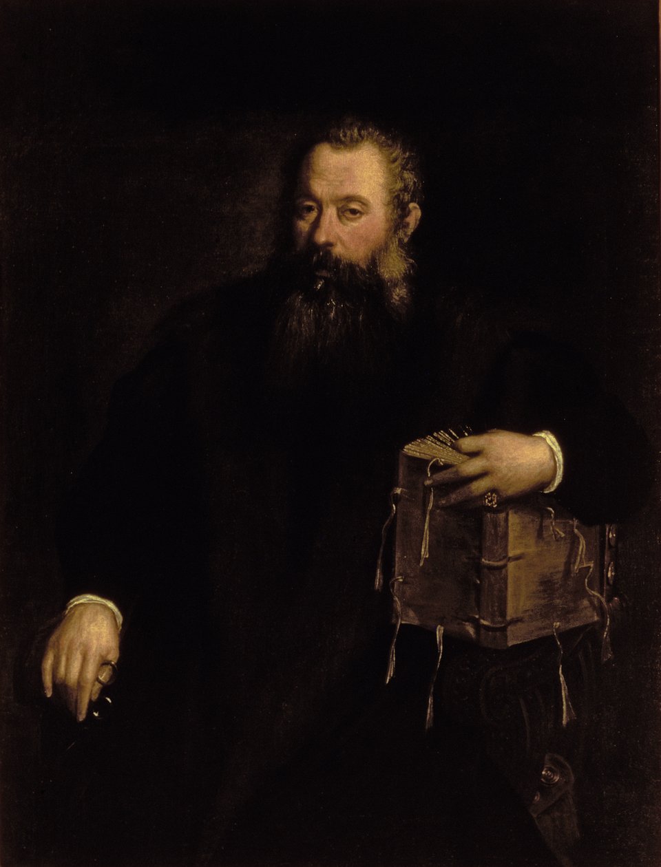Portrait of the Doctor Andreas Vesalius by Tiziano Vecelli