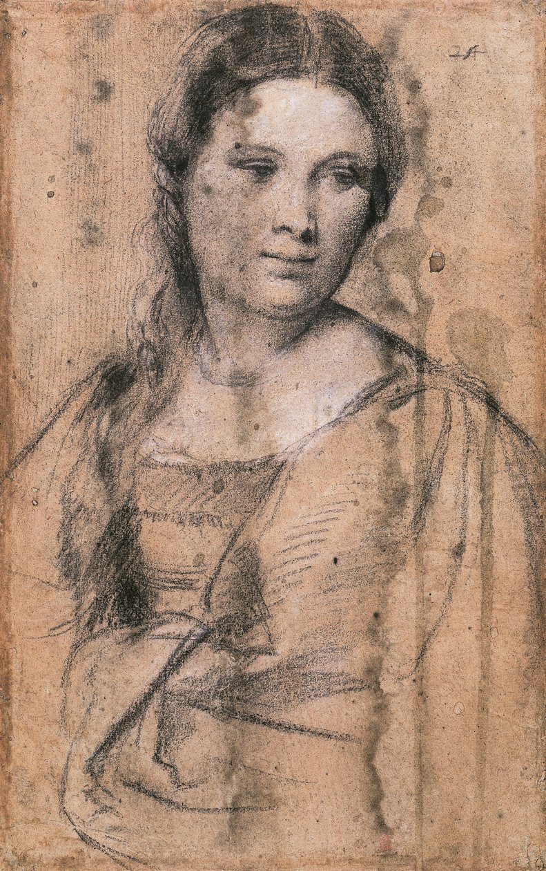 Portrait of young girl by Titian (c.1488 1576)