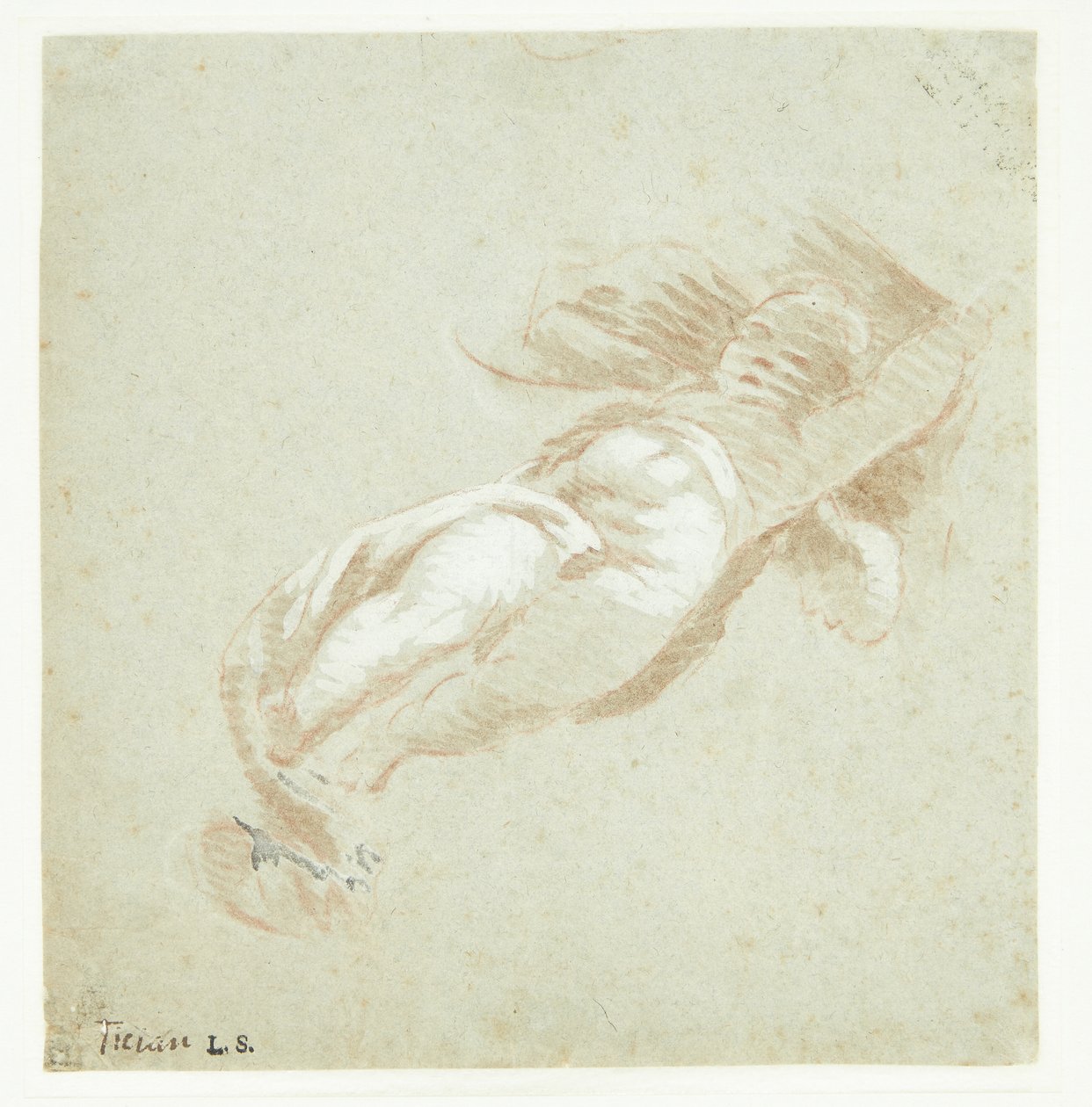 Flying Putto by Tizian