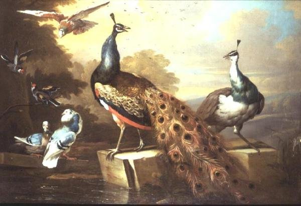 Peacock and Pea Hen in a Landscape by Tobias Stranover