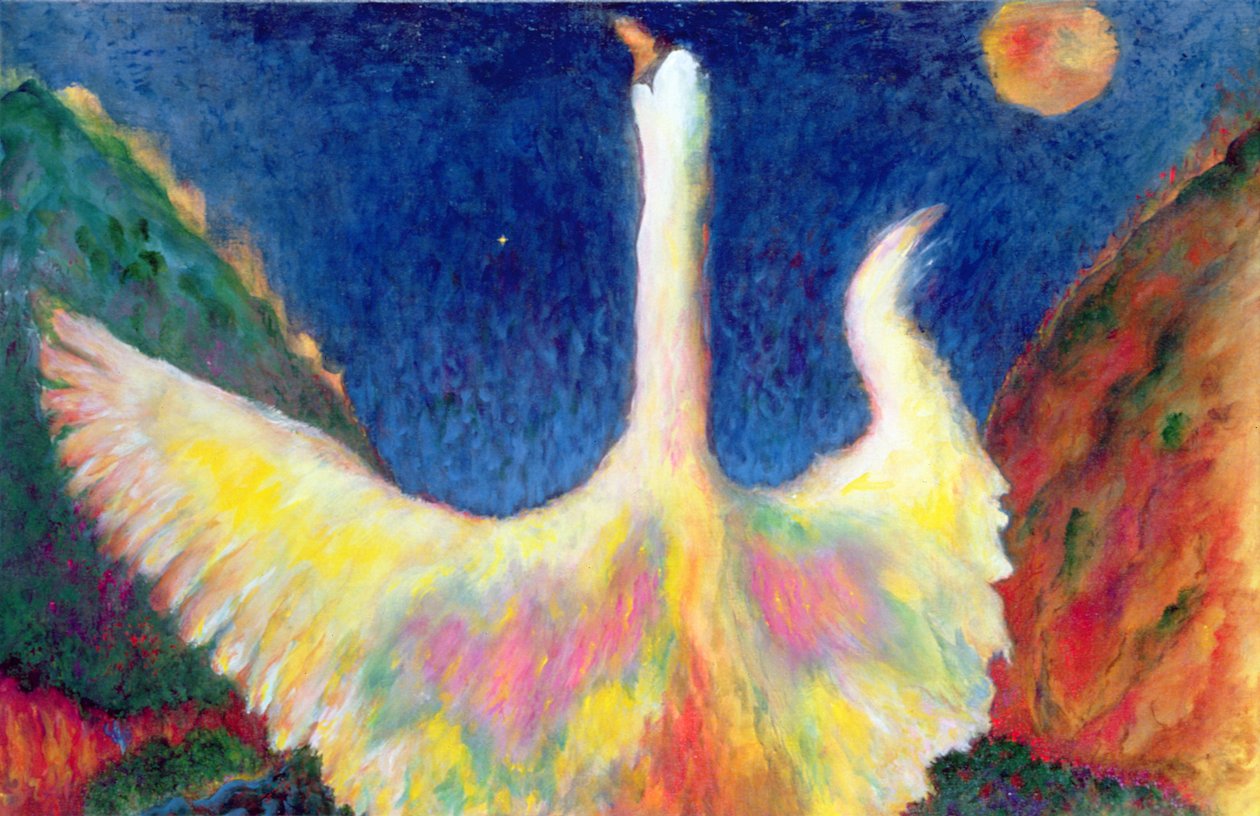 Leda and the Swan by Tom Cook