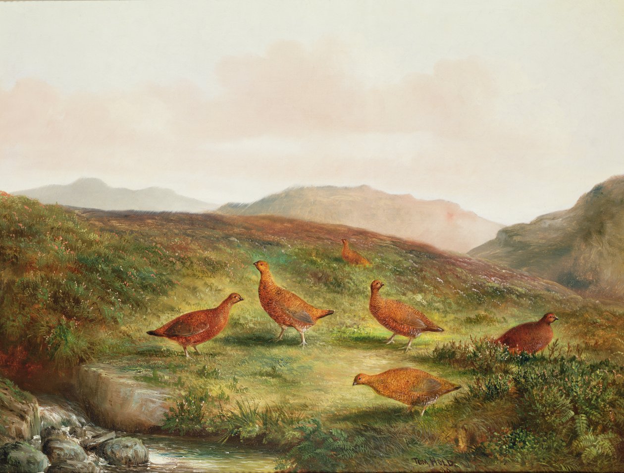 Grouse in a Moorland landscape by Tom Hold