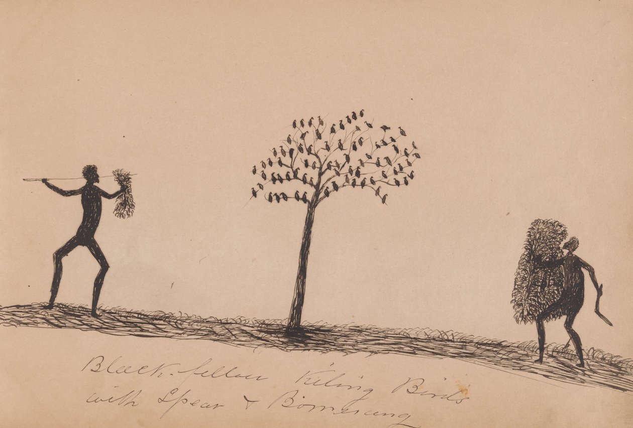 Black Fellow Killing Birds with Spear and Boomerang by Tommy McRae
