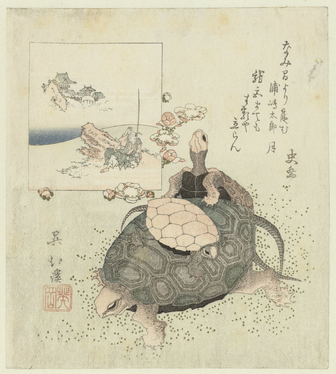 Turtles by Totoya Hokkei