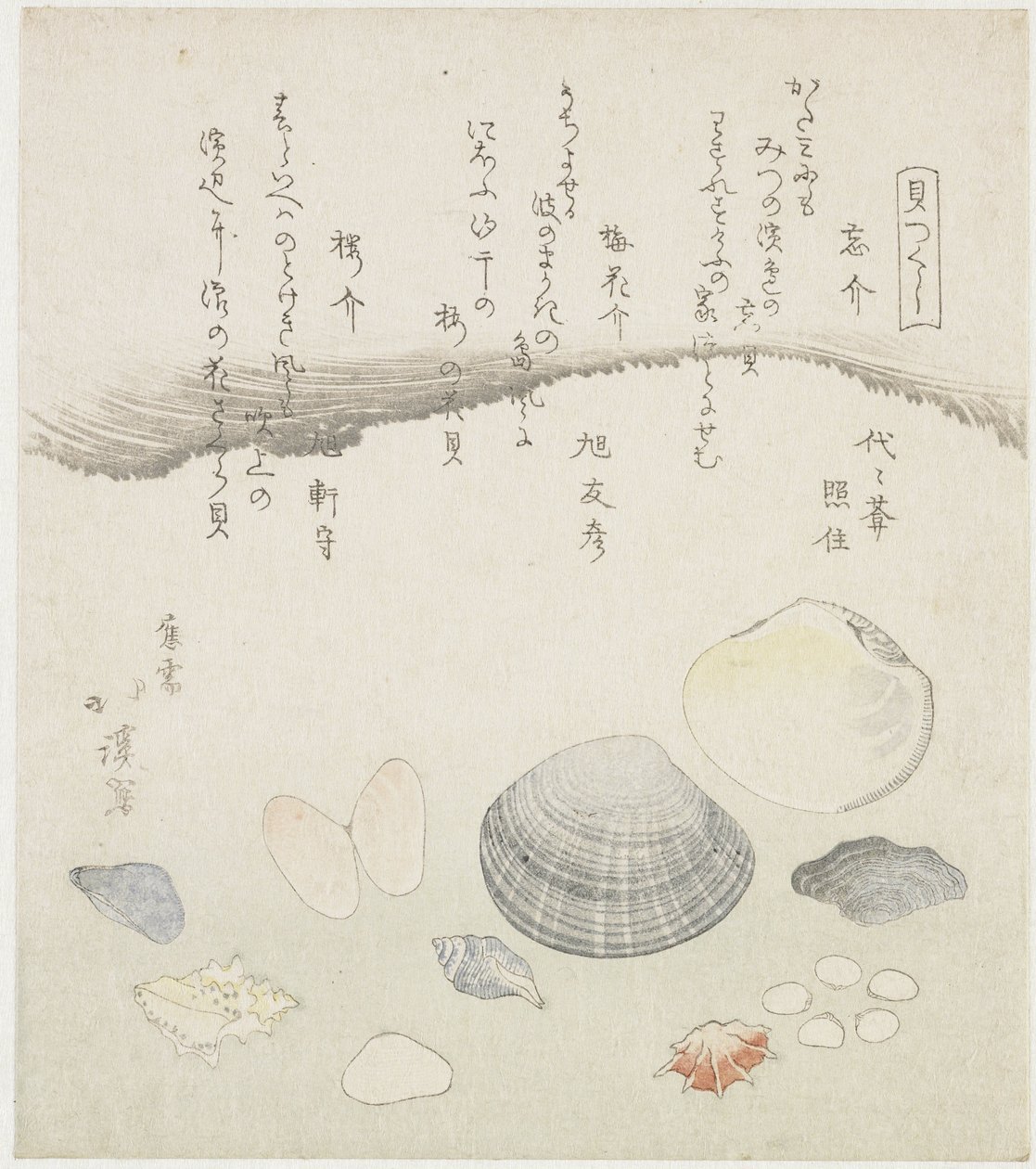 Forgotten Shell, Plum Blossom Shell, and Cherry Shell (A Series of Shells) by Totoya Hokkei