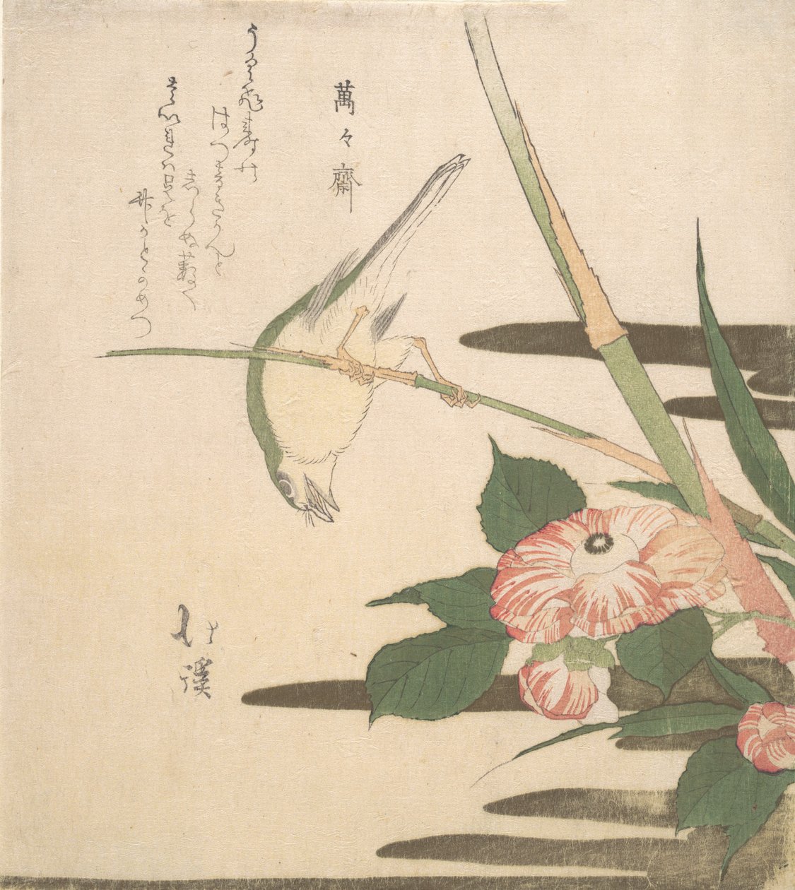 Warbler and Camellia by Totoya Hokkei
